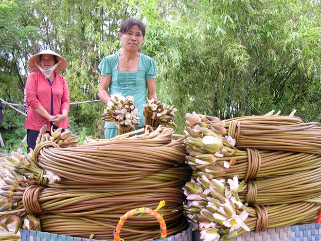 Chợ[-]sỉ[-]cá,[-]cua[-]đồng[-]ở[-]vùng[-]rốn[-]lũ[-]Đồng[-]Tháp[-]Mười